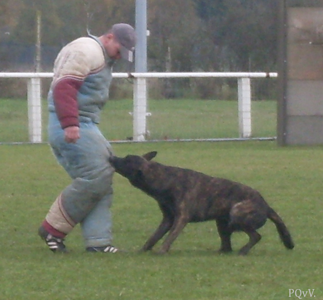 Eros des Crocs d’Olympe 